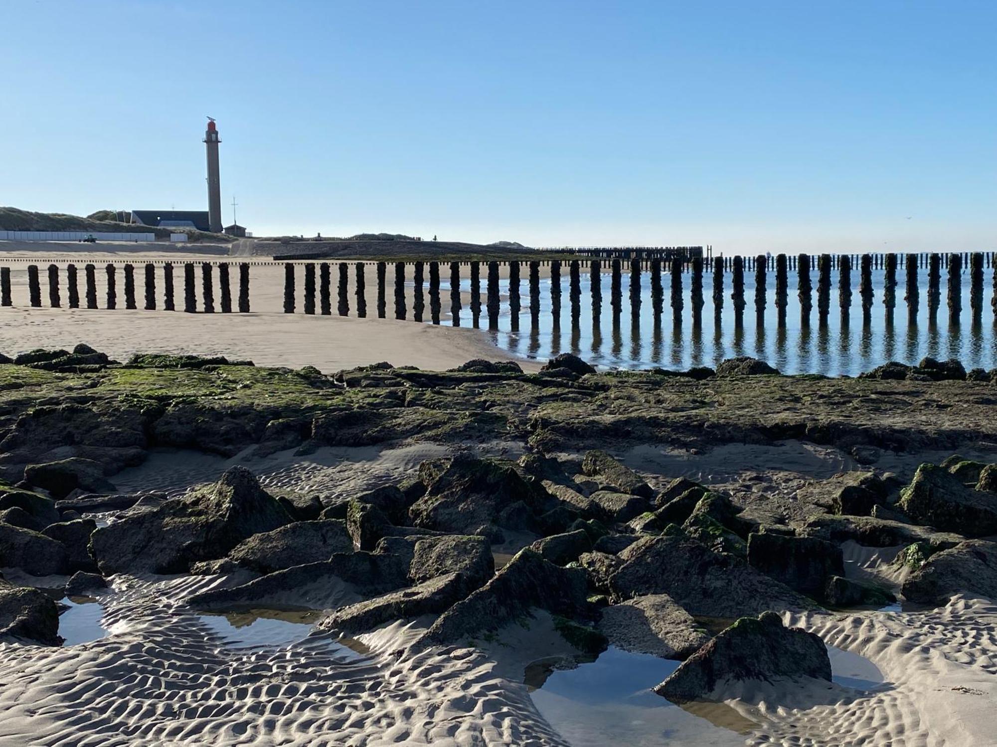 Vakantiewoning Westkaap Westkapelle Dış mekan fotoğraf