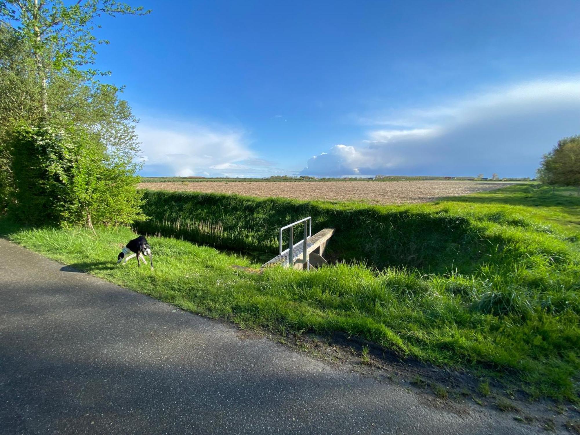 Vakantiewoning Westkaap Westkapelle Dış mekan fotoğraf